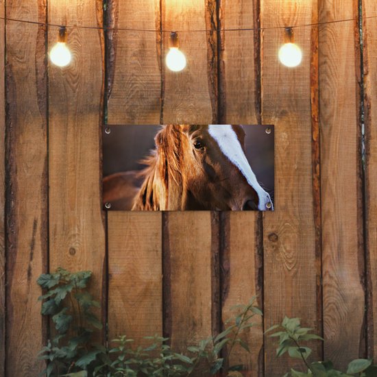 Poster de jardin Cheval - Léger - Fourrure - 60x30 cm - Toile de jardin - Poster extérieur