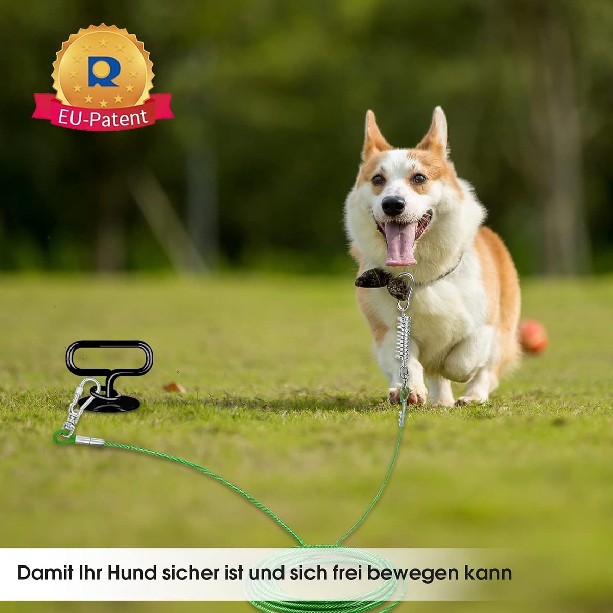 Grondpen hond Action alternatief: 16x de beste van 2026