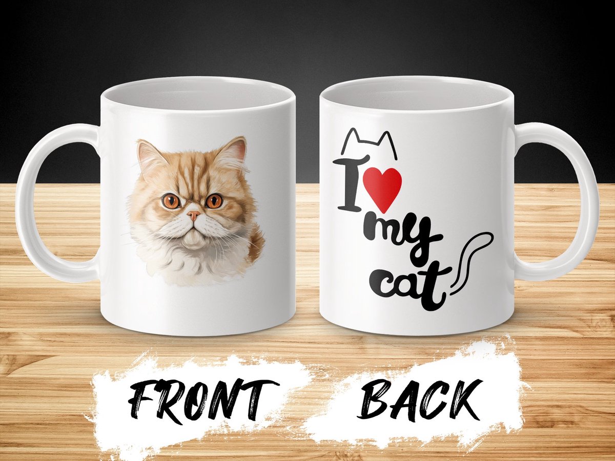 Mok Exotic Shorthair cat - kat - I love my cat - cat lovers - katten