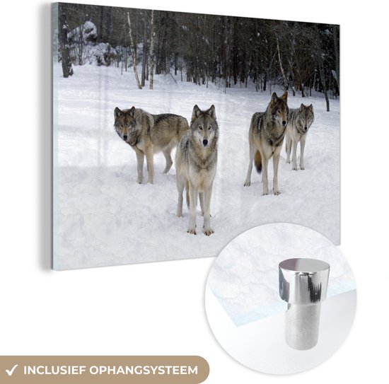 MuchoWow® Glasschilderij 90x60 cm - Schilderij acrylglas - Wolf - Sneeuw - Canada - Foto op glas - Schilderijen