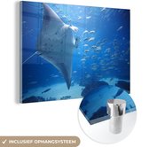 MuchoWow® Glasschilderij 90x60 cm - Schilderij acrylglas - Een rog met scholen vissen - Foto op glas - Schilderijen