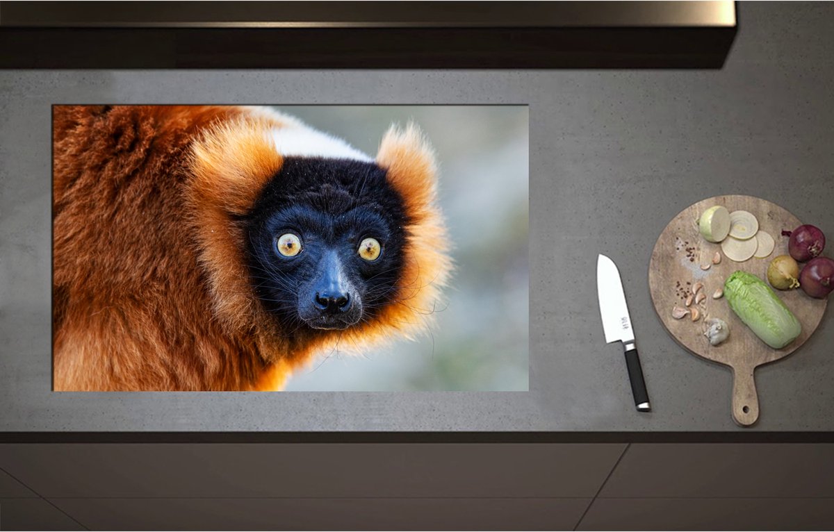 Inductieplaat Beschermer - Aankijkende Rode Ruffed Maki Aap met Grote Felgele Ogen - 85x52 cm - 2 mm Dik - Inductie Beschermer - Bescherming Inductiekookplaat - Kookplaat Beschermer van Zwart Vinyl