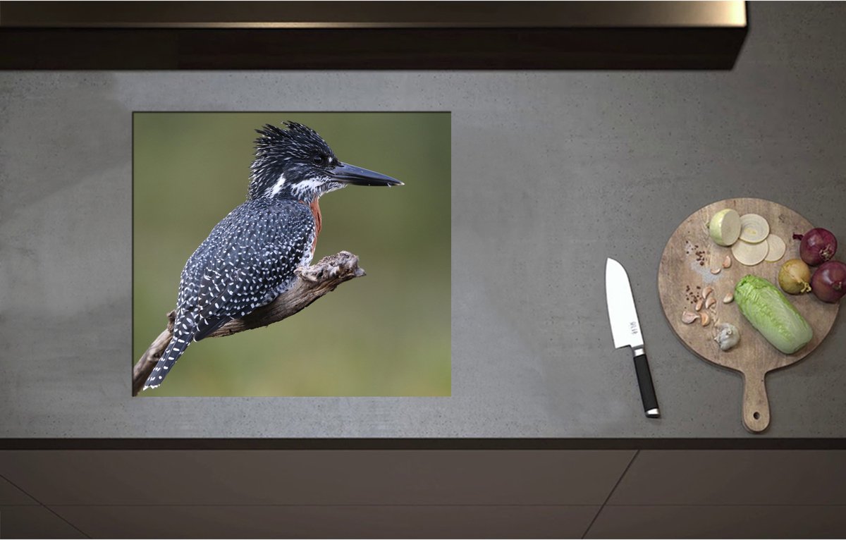 Inductieplaat Beschermer - Afrikaanse Reuzenijsvogel op Tak in de Natuur - 57x51 cm - 2 mm Dik - Inductie Beschermer - Bescherming Inductiekookplaat - Kookplaat Beschermer van Zwart Vinyl