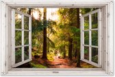 Tuinposter 120x80 cm - Tuindecoratie Bos - Doorkijk - Bospad - Natuur - Wit raam - Poster voor in de tuin - Buiten decoratie - Schutting tuinschilderij - Tuindoek muurdecoratie - Wanddecoratie balkondoek