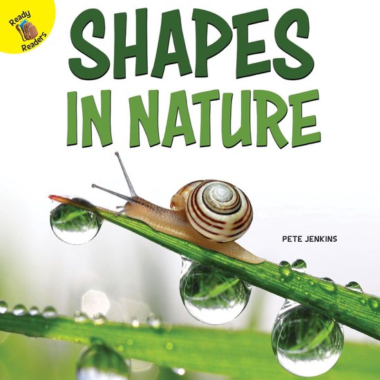 I Know - Shapes in Nature - cover
