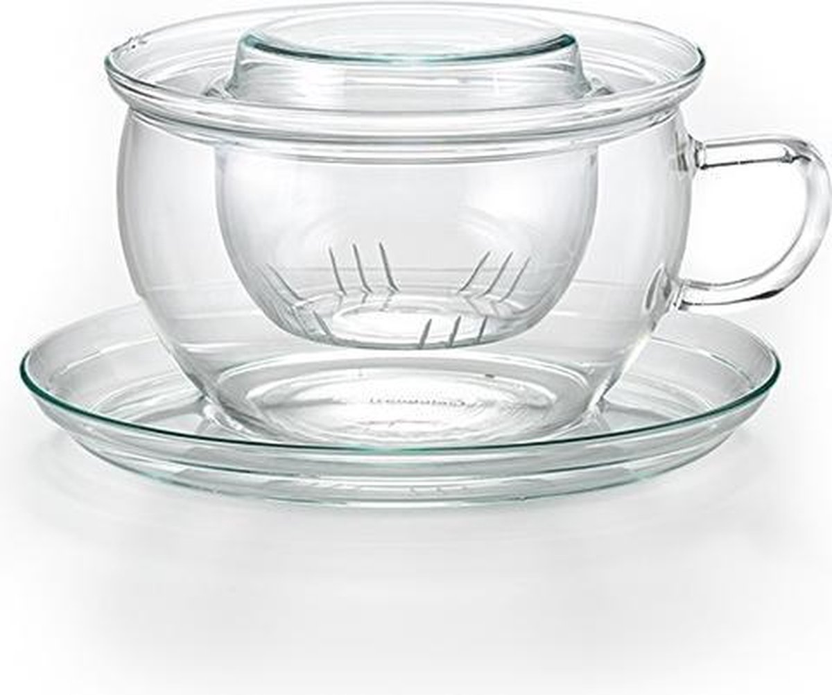 Theekop Clara met glazen filter Trendglas Jena - 300 ml