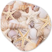 Décoration murale Organique - Décoration Décoration murale Plastique - Peinture Organique - Étoile de Mer - Coquillages - Plage - Été - 40x40 cm - Forme Miroir Asymétrique sur Plastique