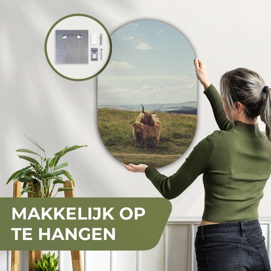 Wall Oval - Décoration murale en plastique - Peinture ovale - Highlanders écossais - Herbe - Nuages - Animaux - 60x90 cm - Forme miroir ovale sur plastique