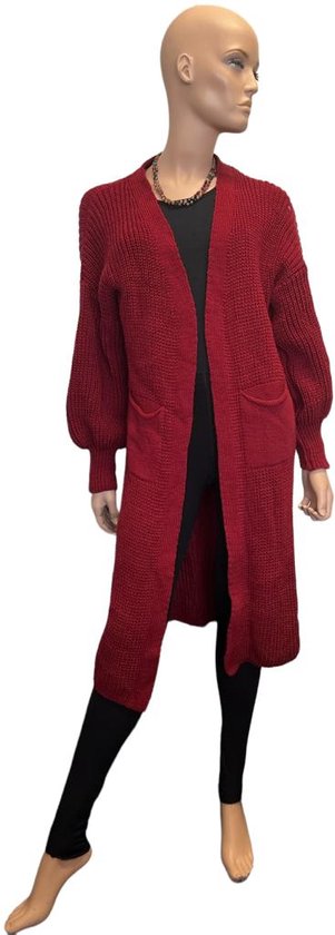 Gebreide Gilets Heren,Heren Gebreide Bodywarmers Casual Plus Fluwelen Dikker Doorlopende Rits Opstaande Kraag Bordeaux Rood Herfst Winter Warm Mouwloos Zak Vest Slipover Vest Trui Tank Tops,M