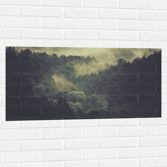 WallClassics - Muursticker - Mist boven Boomtoppen - 100x50 cm Foto op Muursticker