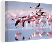 Canvas Schilderij Roze flamingo's op het water - 30x20 cm - Wanddecoratie