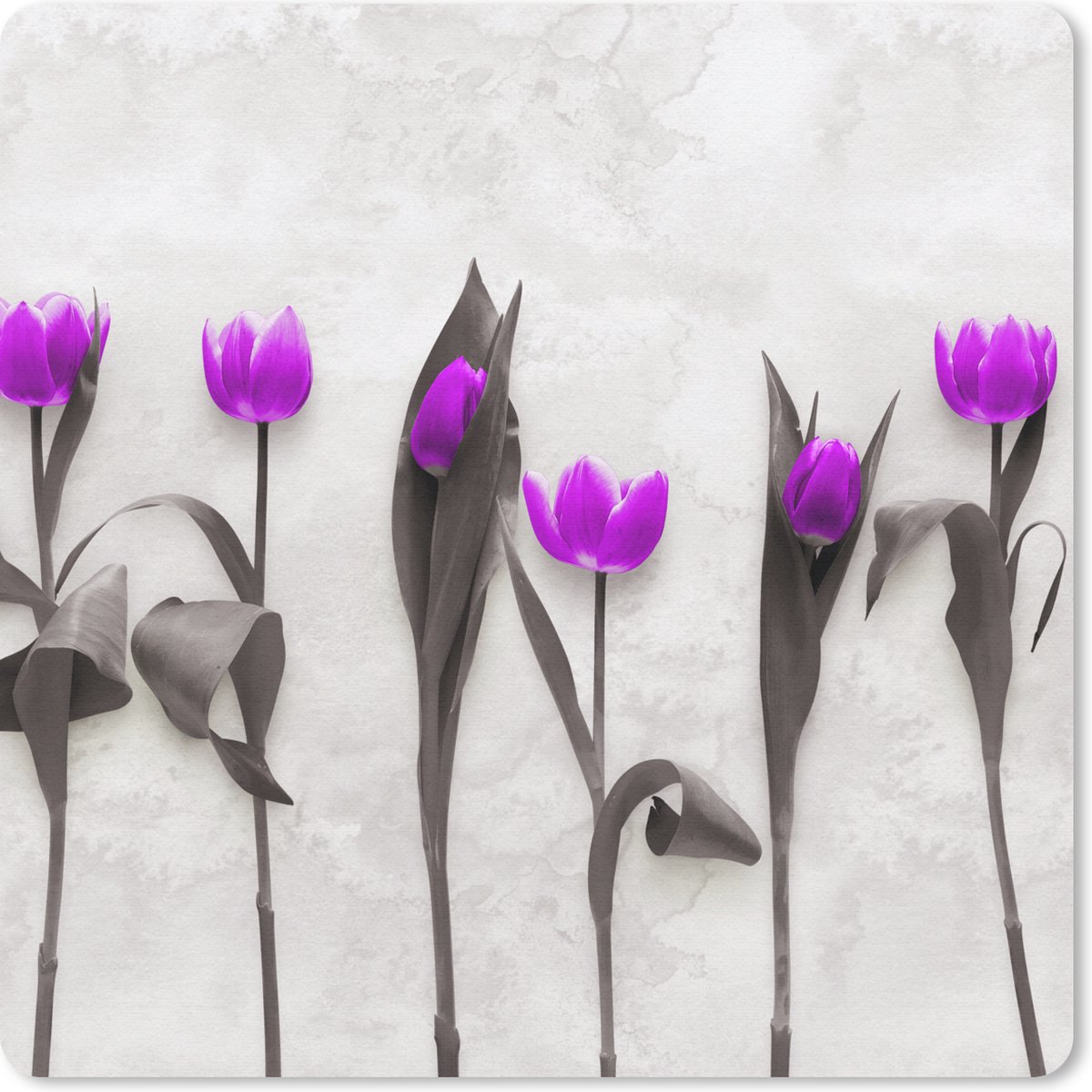 Muismat 20x20 cm - Mousepad Bloemen - Tulpen - Paars - Muismatten