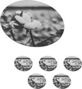 Onderzetters voor glazen - Rond - Katoen - Planten - Zwart - Wit - 10x10 cm - Glasonderzetters - 6 stuks