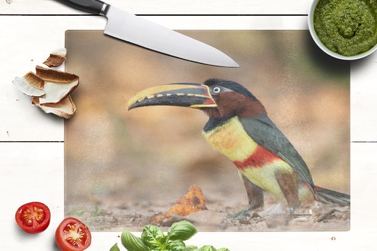 Planche à découper en Verres - 39x28 - Vogel - Toucan - Ressorts - Nature - Planches à découper en Glas