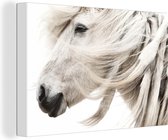 Un gros plan de la tête d'un cheval sur toile 120x80 cm - Tirage photo sur toile (Décoration murale salon / chambre) / Peintures sur toile Animaux de la ferme