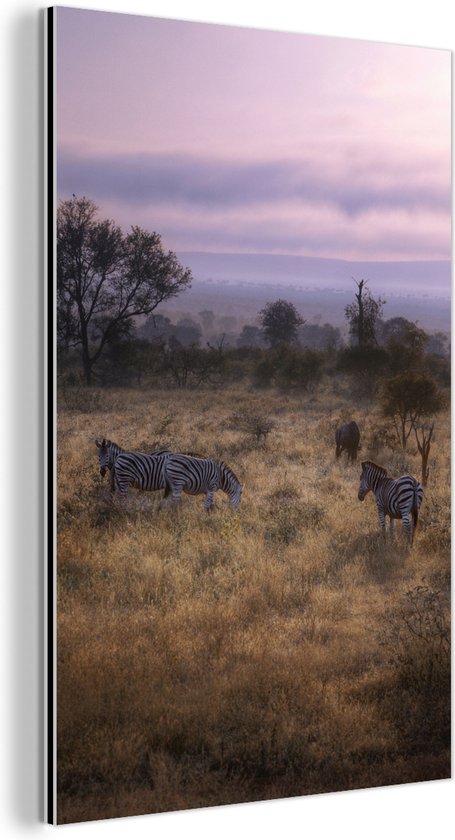 Wanddecoratie Metaal - Aluminium Schilderij - Nationaal Park Kruger in Zuid-Afrika - Dibond