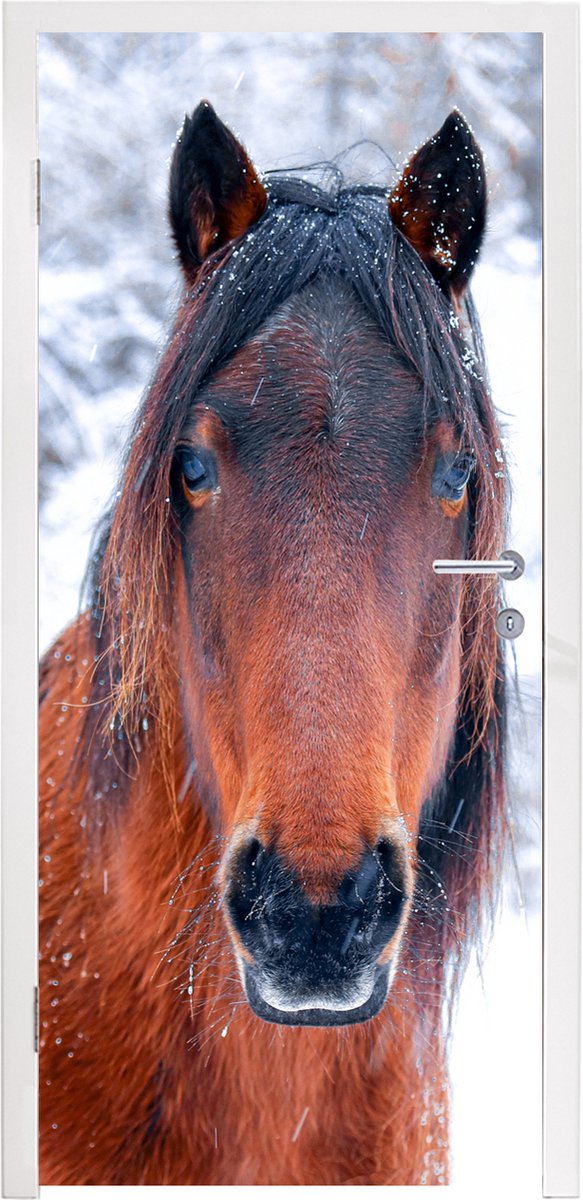 Deurposter 90x235 cm - Deursticker Paard - Winter - Sneeuwvlok - Meubelfolie zelfklevend -