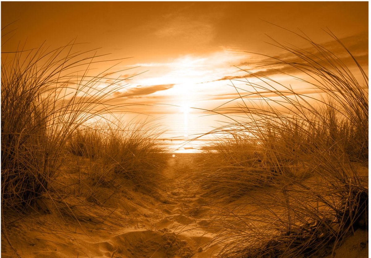 Fotobehangkoning - Behang - Vliesbehang - Fotobehang Strand Sepia - Duinen - Zee - 400 x 280 cm