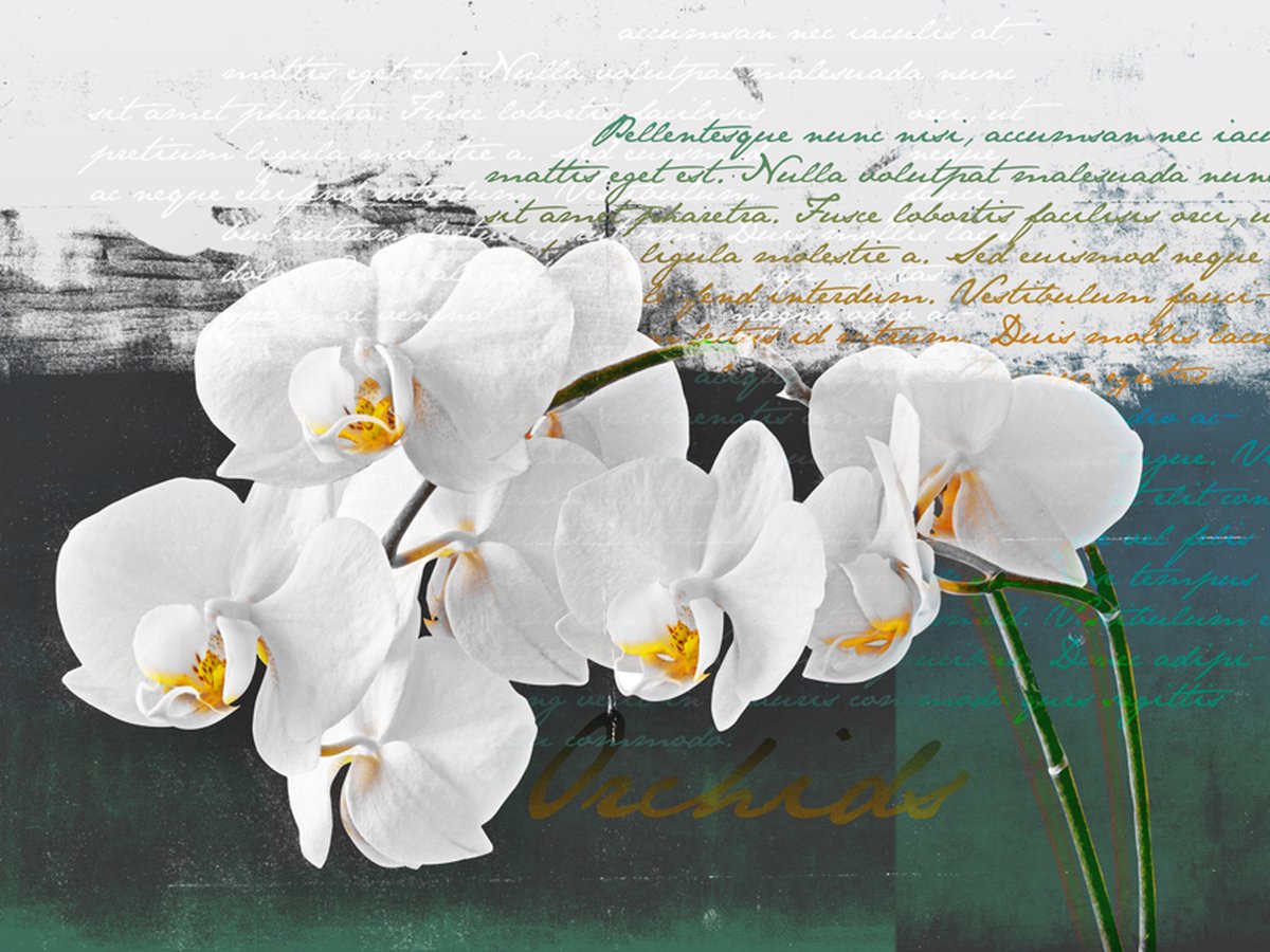 Fotobehang - Orchid - dichter inspiratie.