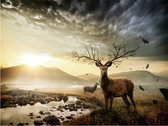 Fotobehang - Deers door bergstroompje.