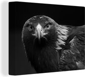 Canvas - Dieren - Buizerd - Vogel - Zwart - Wit - Foto op canvas - 80x60 cm - Schilderijen op canvas - Muurdecoratie