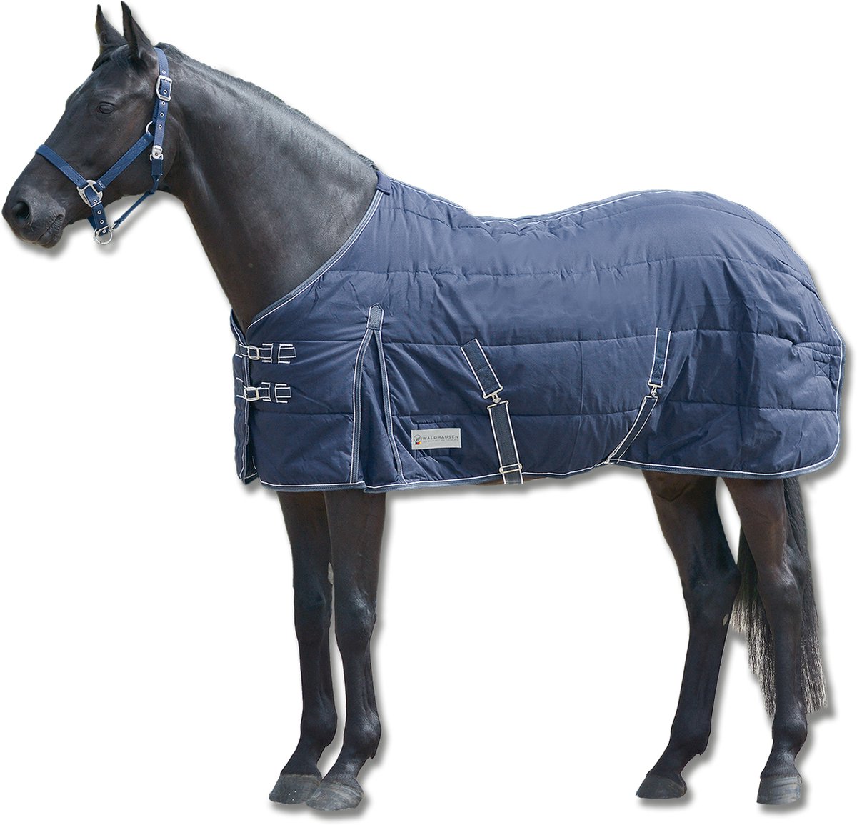 ECONOMIC Stable Rug, 100 G