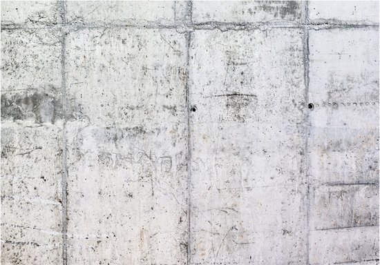 Papier peint photo King - Papier peint - Papier peint Papier peint non tissé - Papier peint photo Mur en béton - Industriel - 350 x 245 cm
