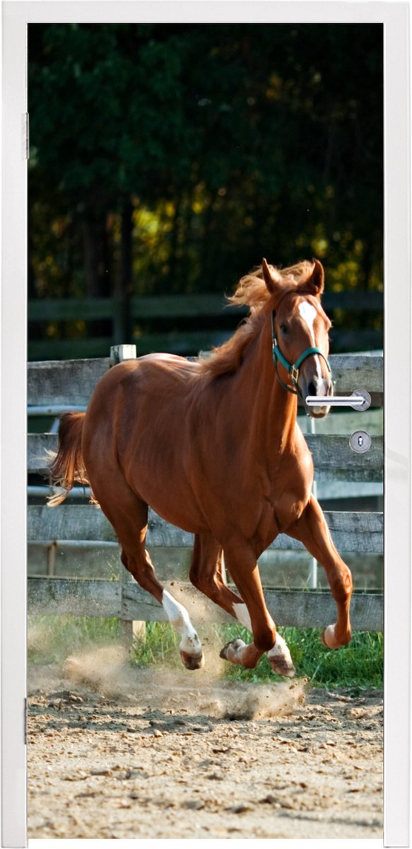 Deurposter 95x215 cm - Deursticker Paard - Licht - Zand - Meubelfolie zelfklevend - Deurfo