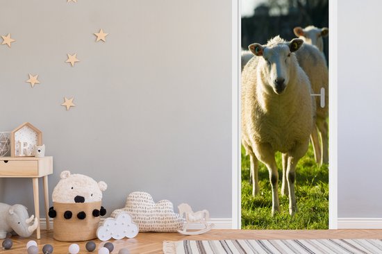 Een schaap met een vacht staat op groen gras, met nog een schaap erachter.