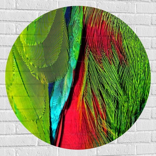 WallClassics - Muursticker Cirkel - Groen met Rode Veren van een Vogel - 90x90 cm Foto op Muursticker