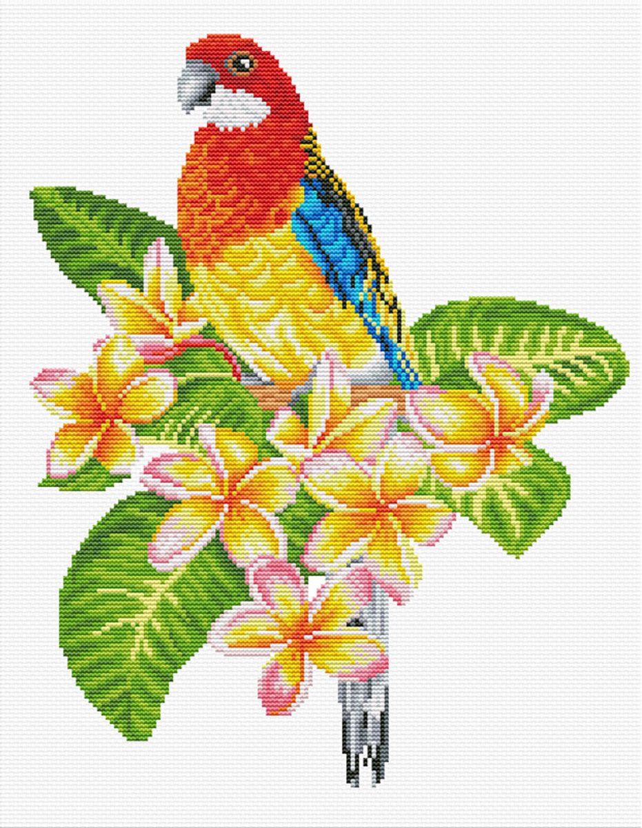 Frangipanni Rosella papegaai voorbedrukt borduren (pakket)