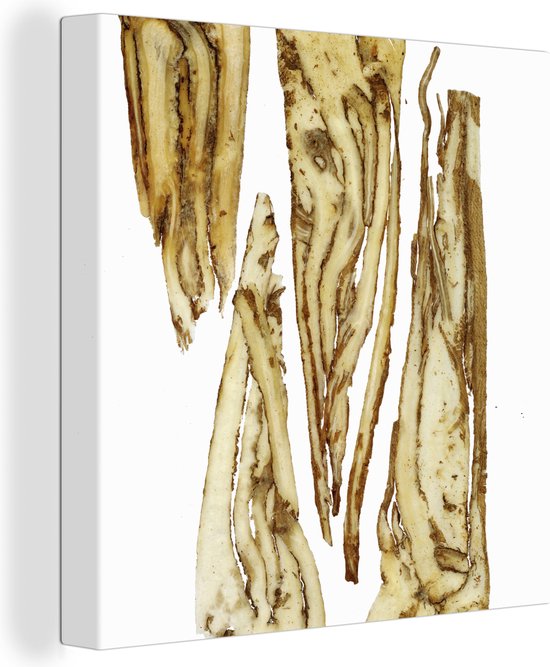 Boekhouder goud Laatste Canvas Schilderij Een close up van meerdere wortels van de Angelica - 20x20  cm -... | bol.com