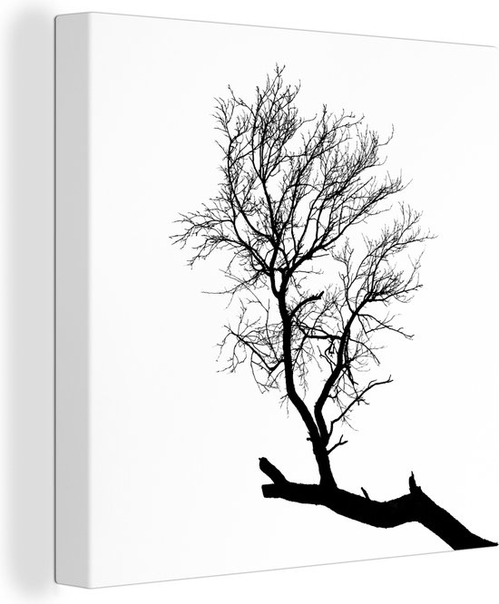 Silhouette d'une branche d'arbre 50x50 cm - Tirage photo sur toile (Décoration murale salon / chambre)