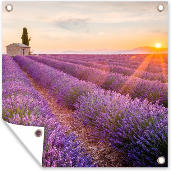 Affiche de jardin lavande - Coucher de soleil - Fleurs - Violet - Toile de jardin - Toile de clôture - Peinture jardin extérieur - Décoration clôture - 200x200 cm - Décoration de jardin - Jardin - Poster extérieur