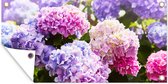 Tuinposter Bloemen - Hortensia - Roze - Bladeren - Zon - 60x30 cm - Tuindoek - Buitenposter