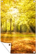 Décoration de jardin Arbre - Nature - Soleil - Paysage - Forêt - 40x60 cm - Poster jardin - Toile jardin - Poster extérieur