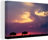 Ciel coloré sur le parc national du Masai Mara au Kenya Toile 120x80 cm - Tirage photo sur toile (Décoration murale salon / chambre)