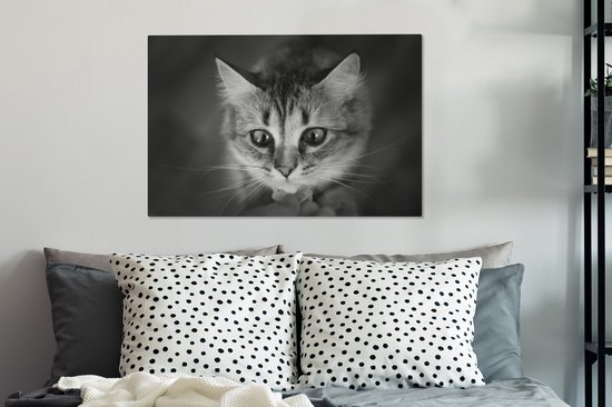 Profil animalier sentant le chat en toile noir et blanc 2cm 90x60 cm - Tirage photo sur toile (Décoration murale salon / chambre)