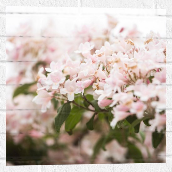 WallClassics - Muursticker - Lichtroze Bloemenstruik - 50x50 cm Foto op Muursticker