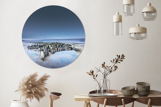 Manchots empereurs au dessus du ciel sombre Cercle mural aluminium ⌀ 140 cm