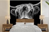 Behang - Fotobehang Schotse Hooglander - Horens - Zwart - Wit - Koe - Wild - Dieren - Breedte 280 cm x hoogte 280 cm