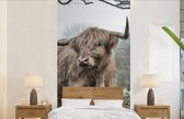 Behang - Fotobehang Schotse Hooglander - Bos - Mist - Koe - Dieren - Natuur - Breedte 120 cm x hoogte 240 cm