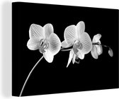 Tableau Toile Orchidée - Fleurs - Zwart - Rose - Bourgeons - 120x80 cm - Décoration murale