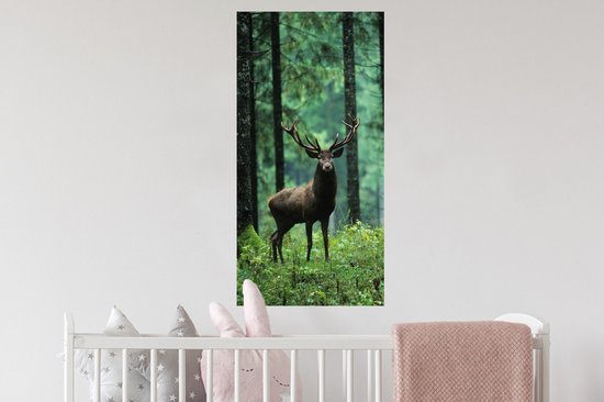 Stickers Stickers muraux - Cerf - Forêt - Arbres - 40x80 cm - Feuille adhésive