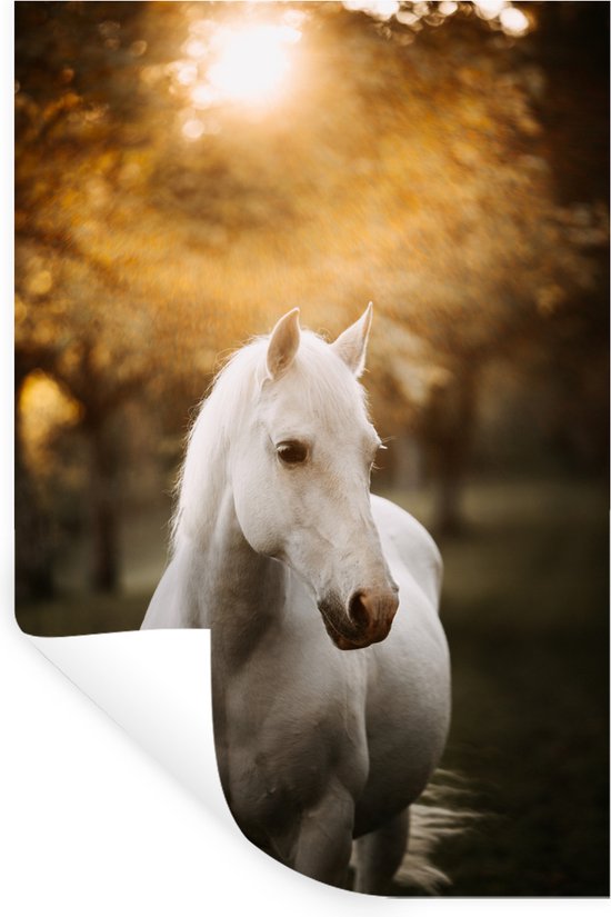 Sticker Muursticker Paarden - Portrait photo cheval blanc en automne - 20x30 cm - film adhésif autocollant - sticker mural repositionnable
