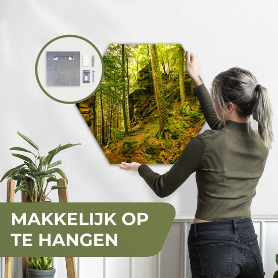 Décoration murale Hexagone - Décoration murale Plastique - Peinture Hexagone - Arbres - Pierre - Forêt - Nature - Plantes - 75x65 cm