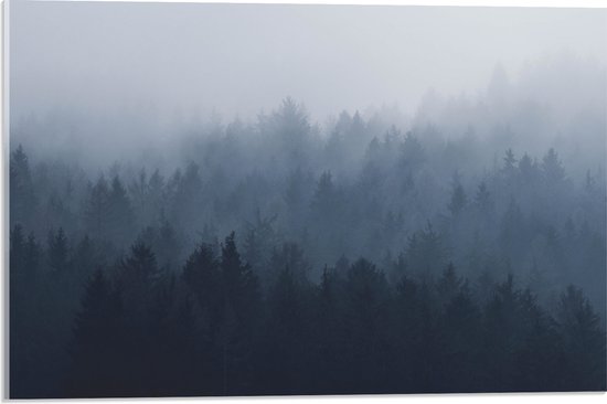 WallClassics - Verre acrylique - Forêt dans la brume - 60x40 cm Photo sur verre acrylique (Décoration murale sur acrylique)
