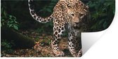 Muurstickers - Sticker Folie - Wilde dieren - Luipaard - Jungle - Natuur - 160x80 cm - Plakfolie - Muurstickers Kinderkamer - Zelfklevend Behang - Zelfklevend behangpapier - Stickerfolie
