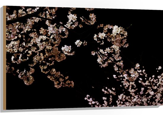 WallClassics - Hout - Wit met Roze Bloementjes met Zwarte Achtergrond - 105x70 cm - 12 mm dik - Foto op Hout (Met Ophangsysteem)