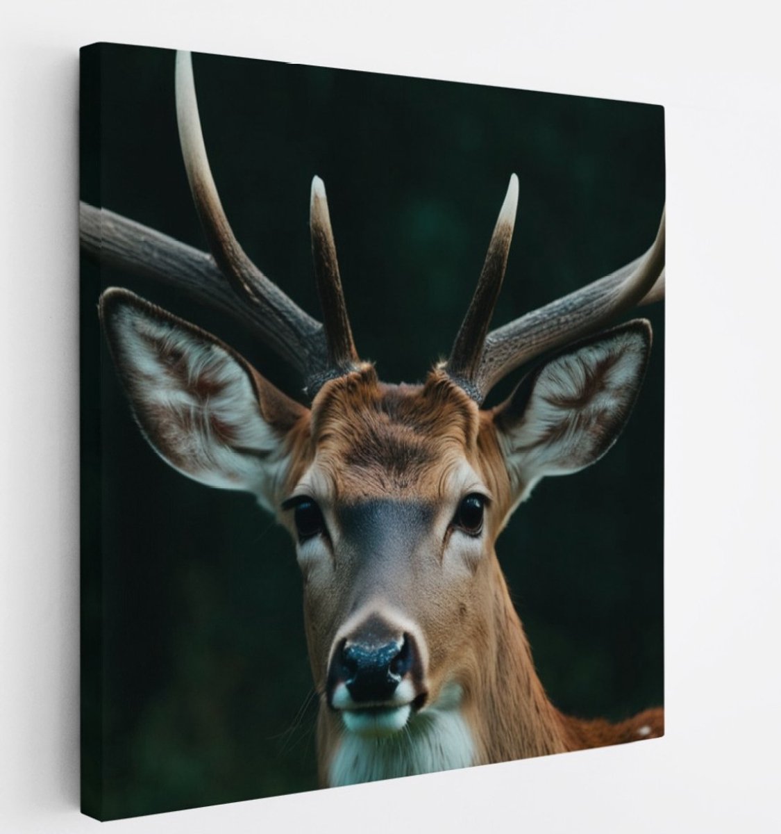 Saammp Canvas Schilderij - Hert - Portret - Dieren - 100x100 - Foto op canvas - Wanddecoratie - Muurdecoratie Woonkamer - Slaapkamer decoratie - Canvas Print Multicolor